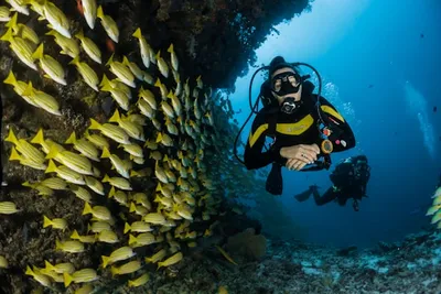 Person snorkeling in clear blue water